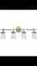 1069wg-101 Capital Lighting 1069-101 Winter Gold