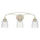 110831sf-302 Capital Lighting Fixture Company 841740102681