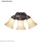 13725 Westinghouse Bronze Vanity Light 7868682313725 13725 Westinghouse Bronze Vanity Light 7868682313725