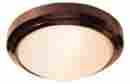 20355mg-brz Access Lighting Fst Oceanus 10.5in Wet Location Ceiling Wall Fixture Bronze Finish A 641594104165