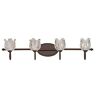 20484 Rob Trans Globe Rubbed Oil Bronze Bath Light 736916650809