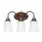 49808ble-827 3-light Sea Gull Lighting Bell Metal Bronze Bathroom Transitional Vanity Light Fixtures Home Decor