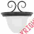 4140-85 Na Sea Gull Lighting Single-light Athenia Wall Bath Sconce Gold Patina 785652414053
