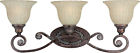 5000-03-21 Forte Lighting 3-light Vanity 093185018212