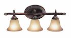 53022-brk Woodbridge Lighting Worthington Bath Light Bark 810400020863