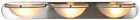 617608 Monument Lighting Bathroom Brushed 076335088341