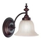 667-30 Dolan Designs New 1 Light