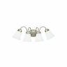 743999-2221398-251 First Partridge Brushed Nickel Energy Star Led Bath 781360241226 743999-2221398-251 First Partridge Brushed Nickel Energy Star Led Bath 781360241226