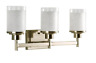 785247162871 Home Decorator Progress Lighting Alexa Collection Brushed Nickel