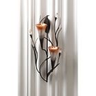 849179016814 Gallery Of Light Wall