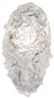 891650-31st Euroluxhome Sconce Natural Inspirations Lacquered White Polished Nickel 616524428871