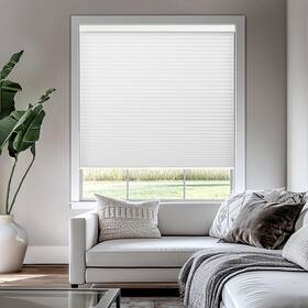 Ccsmm3048 Chicology Cellular Shades Cordless Honeycomb Blinds Blackout Or Light F