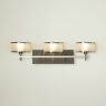 Drbc8505 33549758 Darby Home Co Millerton Vanity Light