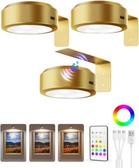 Tl-01 Ezvalo Picture Lights For Wall 2000mah Rechargeable Battery Magnetic Poster Lig