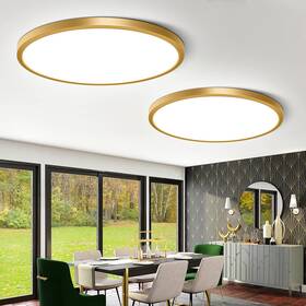 Lm-xdd-us-24w-pw-2p-g Fletergib 12 Inch Gold Led Ceiling Light Flush Mount 5000k Daylight White Flat Cei