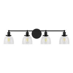 Home Decorators Collection 046335107427 Decorator 37.5 Evelyn Mate Black Bathroom Vanity Light With Glass Shades