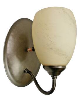 20-4212-05 Hubbardton Forge Bronze Simple Lines 8.5 Inch Oval Back Wall Sconce-stone Glass