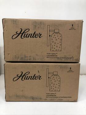 19775 Hunter Lot Of 2 Lochemeade 1-light Brushed Nickel Wall Sconce Seeded Glass 19775 Hunter Lot Of 2 Lochemeade 1-light Brushed Nickel Wall Sconce Seeded Glass