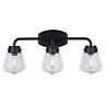 Ivl682a03bk Canarm Black Lochlan Wide Bathroom Vanity Light 062345400907
