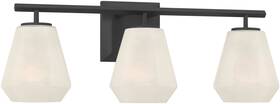 14373-899 Minka Lavery 14373 Siena 3 Light 23 Inch W Vanity - Dark Matte Black