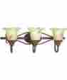 P3019-02 Thomasville Lighting Progress Elysian Vanity Light Golden Brandy 785247135479