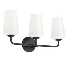 P300544-031 Progress Lighting P300544 Celino 3 Light 23 Inch W Vanity - Black