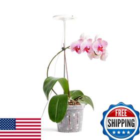 Repotme B0cqpn1zqm Grow Light For Orchids Lumina Orchid Full Spectrum Plant