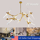 Rnl826815 Unbranded Modern Glass Branch Chandelier Light Pendant Lighting Ceiling Fixtures