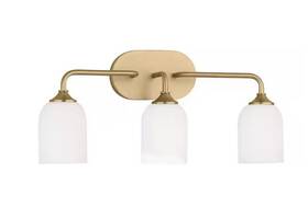 Glv1023sb Sea Gull Lighting Emile Large 22 Inch 3-light Satin Bronze Bathroom Vanity Light With Etched Glass Shade