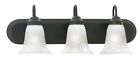 Sl-7583-63 Thomas Lighting Wall Mount Bronze Shades New 020389170392