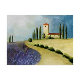 Trademark Fine Art 193420704167 14x19 Tuscan Villas Paint 3 By Pablo Esteban