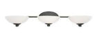 3903-78 Vanity 3 Light Rainier Bolivian Bathroom Lighting Finish Dolan