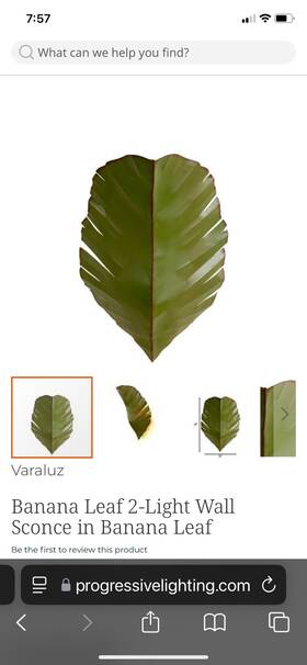 901k02 Varaluz Banana Leaf 2 Light 17 Inch Tall Wall Sconce - 901k02 Varaluz Banana Leaf 2 Light 17 Inch Tall Wall Sconce -