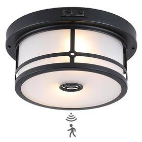 Cl-ms-0003 Vexagyle Outdoor Flush Mount Motion Sensor Ceiling Light 2-light Industrial Porch Ligh