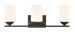 Millennium Lighting 22 In. 3-LIGHT Matte Black Vanity 3183-MB. Fixed Price $110.99.