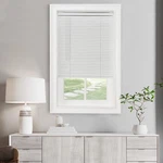 Cordless Light Filtering Mini Blind - 25 Inch Width, 64 Length, 1" Slat .... Fixed Price $23.22.