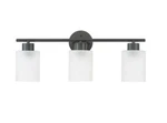 Bellevue GBF43025MBK Lydia 23" Wide Bathroom Vanity Frosted Glass Light.. Fixed Price $50.00.