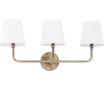 Capital 119331AD-674 Dawson Vanity, 3-LIGHT 180 Total Watts, Aged Brass. Fixed Price $132.49.