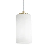 Afx Lighting 1 Pendant, Antique Brass/clear - LEOP04MBLB. Fixed Price $52.00.
