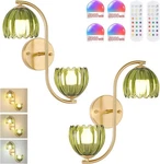 Battery Op Wall Sconce 2-LIGHTS Vinatge Brass Lighting Up & Down Tulip Shad. Fixed Price $44.24.