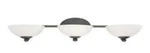 Dolan Lighting 3903-78 Rainier Bathroom Vanity W/ Bolivian Finish. Fixed Price $76.80.