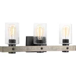 Progress Lighting Gulliver 24 In. 3-LIGHT Graphite Coastal Bathroom Vanity. Fixed Price $111.97.