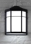 Jonathan JYL7447A Henry 7.75" Outdoor Frosted Acrylic/metal Integrated Led. Fixed Price $85.00.