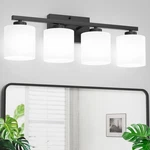 Honesorn 4-LIGHT Vanity Lights, Matte Black With Frosted Shade & Nickel Finis.... Fixed Price $93.98.