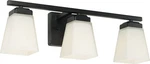 Homeplace 114431MB-334 Baxley Vanity, 3-LIGHT 300 Total Watts, Matte Black. Fixed Price $89.44.