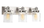 Progress Lighting 21-5/8 In. 3-LIGHT Brushed Nickel Clear Glass Vanity. Fixed Price $103.99.
