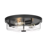 Flush Mount Ceiling With Clear Glass Shade, 3-LIGHT Indoor Outdoor Farm.... Fixed Price $118.82.