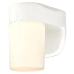 Westinghouse 61068 Dimmable Led Outdoor Wall Light White Finish Frosted Glass. Fixed Price $33.99.