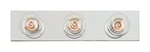 Westinghouse Silver 120V 100W 3-LIGHTS Incandescent Bathroom Bar Fixture 4.5. Fixed Price $29.60.
