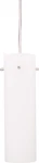 Lite Source LS-19112PS/FRO Credence Pendant With Frost Glass Shade, Poli.... Fixed Price $86.02.